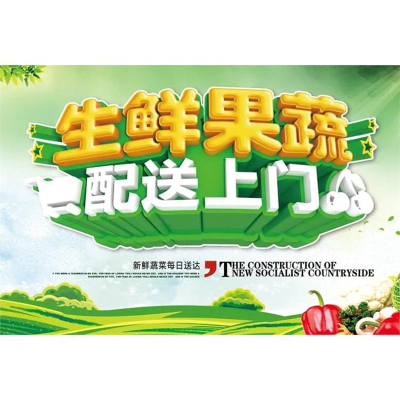水泥行业的风云变幻：价格指数探析
